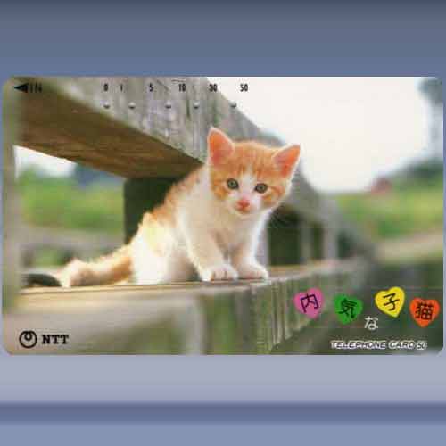 cats 4523